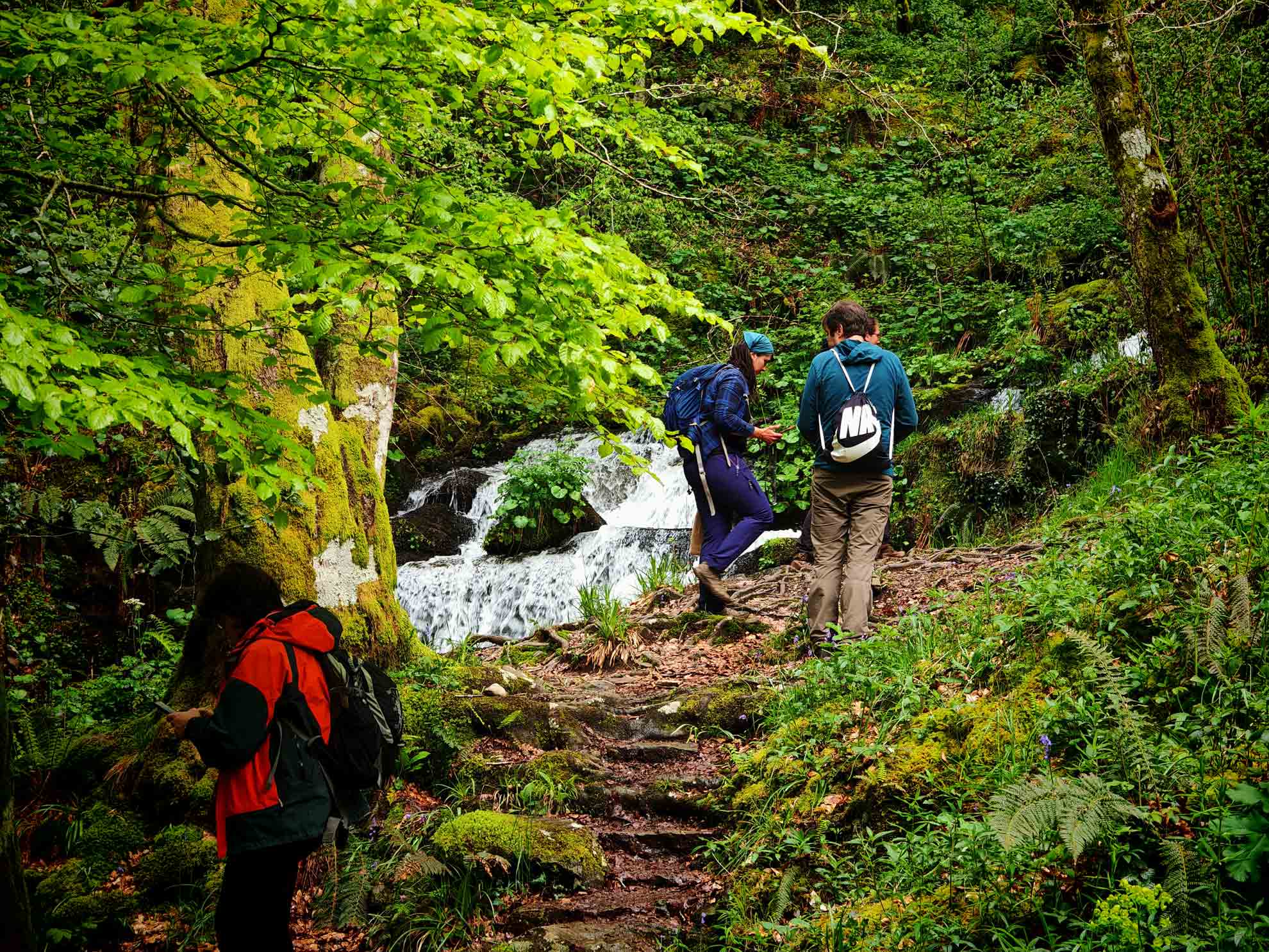 biomaraton-hayedo-busmayor-Foto-4