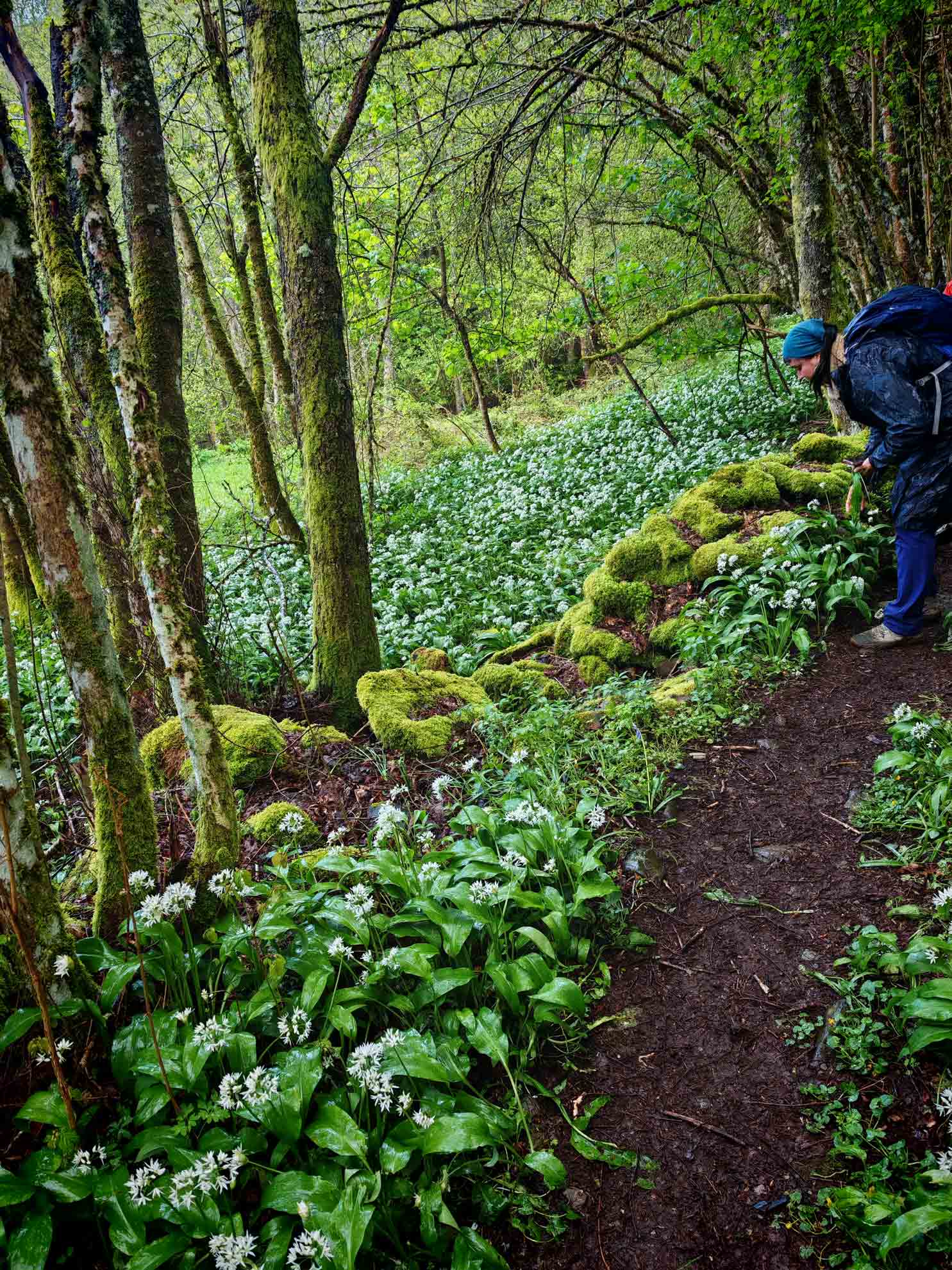 biomaraton-hayedo-busmayor-Foto-5