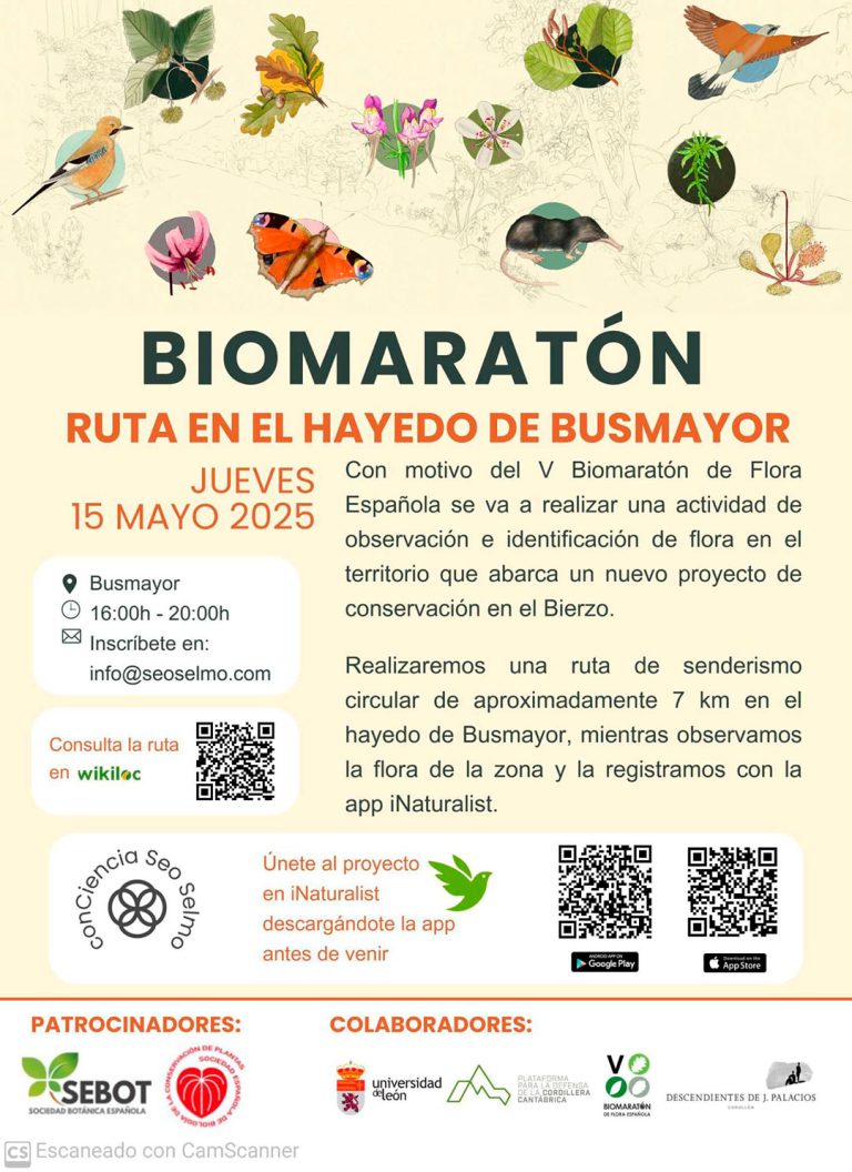 Cartel de ruta en el Hayedo de Busmayor con motivo del Biomaratón de Flora Española