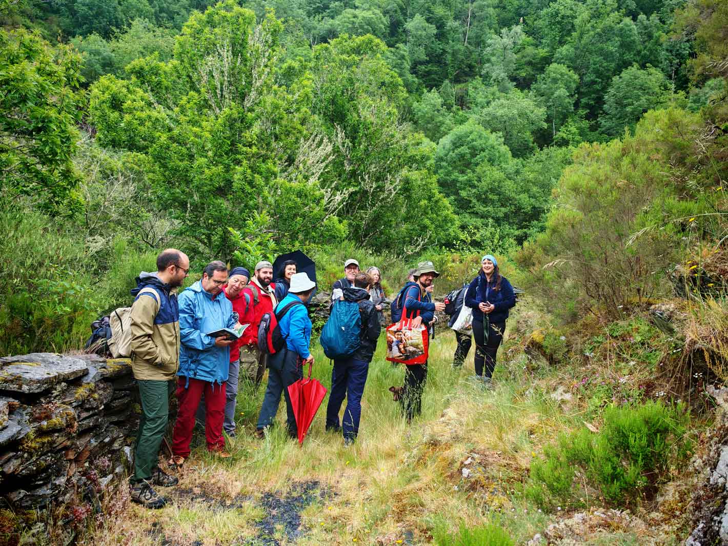 Grupo de trabajo al principio de la ruta