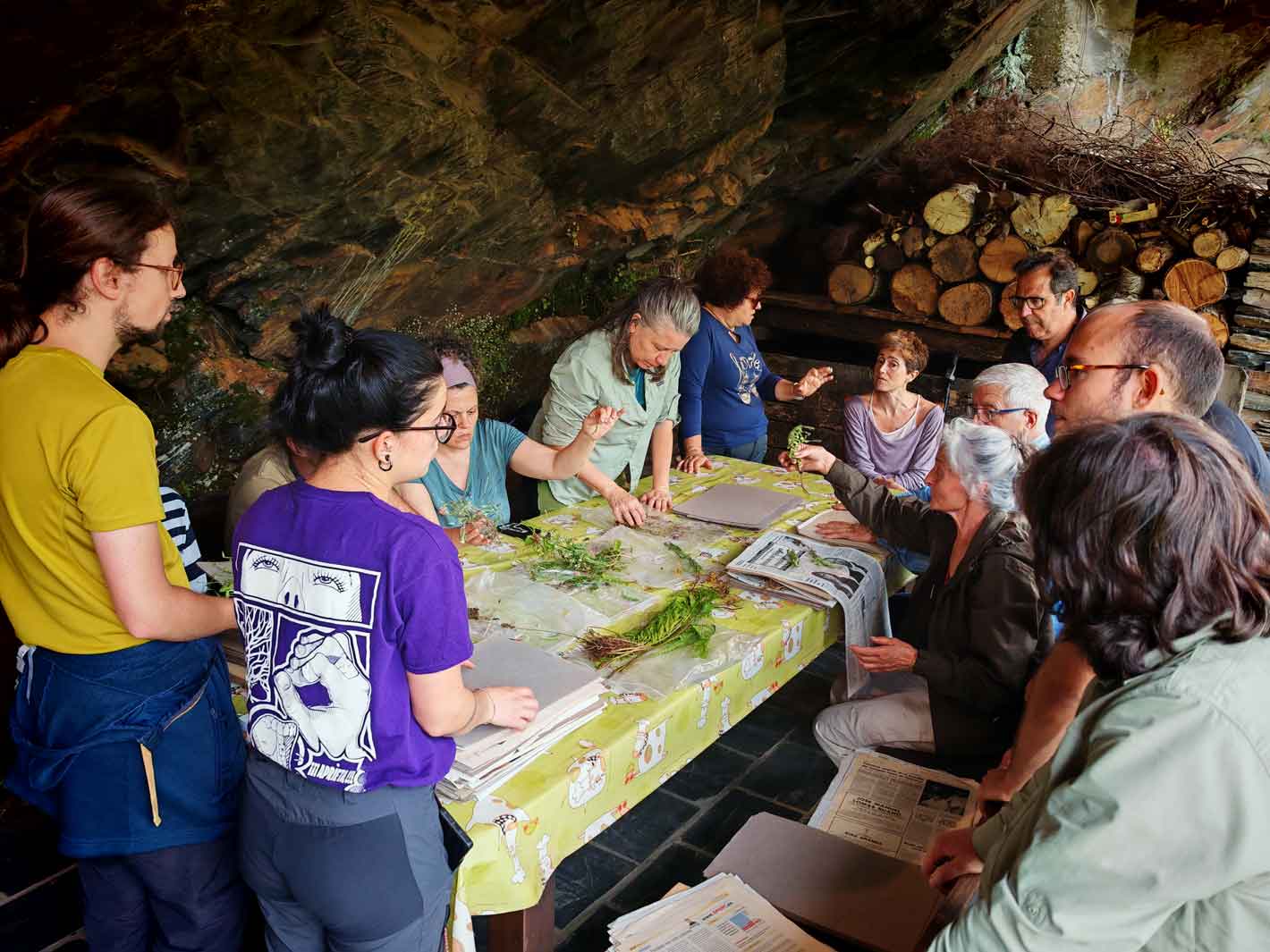 Reunión para clasificación y observación